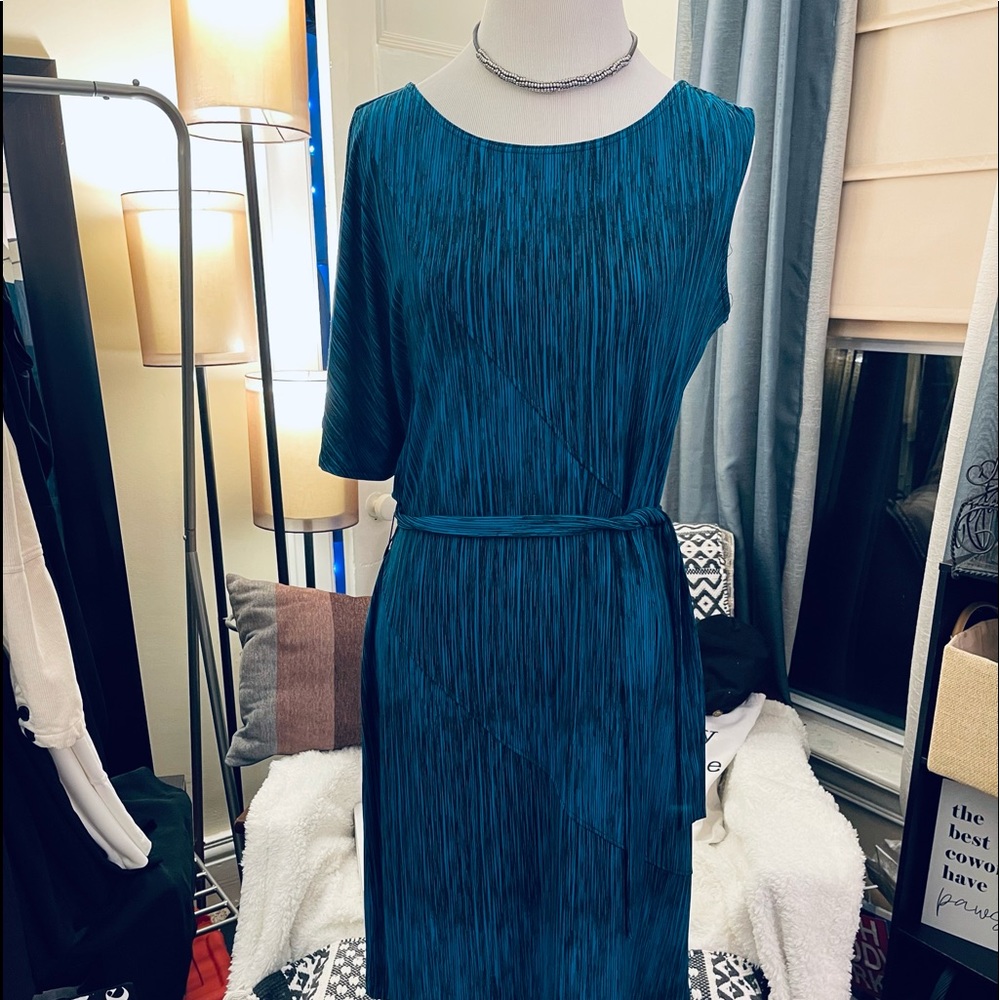 One sleeve dress.  Blue with black lines.